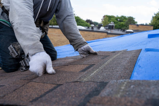 Best Roof Leak Repair  in Granville South, OH