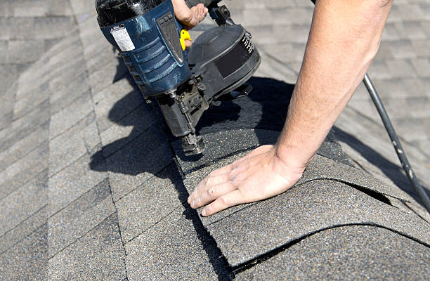 Best Roof Moss and Algae Removal  in Granville South, OH